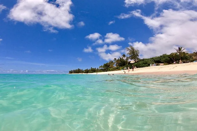 Oahu Pearl Harbor and Island Sightseeing Tour - Image 5