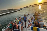 Destin Speedboat Dolphin Tour thumbnail 5