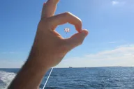 Fort Lauderdale Parasailing Adventure thumbnail 6