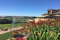 Portland Willamette Valley Wine Tour thumbnail 2