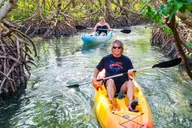 Sarasota Lido Key Mangrove Tunnel Kayak Tour 2 hr thumbnail 1