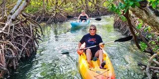 Sarasota Lido Key Mangrove Tunnel Kayak Tour 2 hr