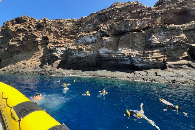 Maui Snorkel & Turtle Tour - Image 3