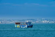 San Diego Seal Tour thumbnail 5