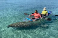 Jupiter Clear Kayak Eco-Tour thumbnail 1