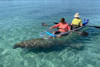 Jupiter Clear Kayak Eco-Tour