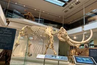 Los Angeles Natural History Museum Admission thumbnail 6