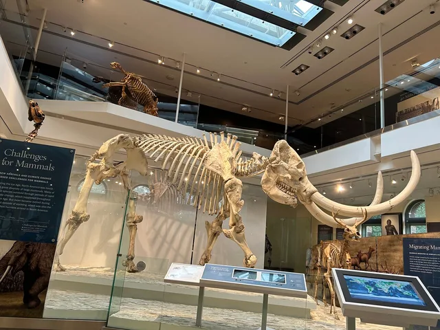 Los Angeles Natural History Museum Admission - Image 6