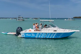Destin Dolphin and Snorkeling Adventure