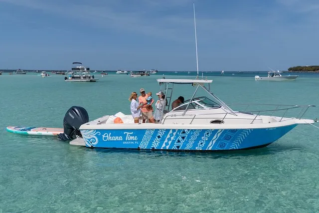 Destin Dolphin and Snorkeling Adventure - Image 1
