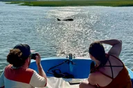 Charleston Morris Island Dolphin Cruise thumbnail 6