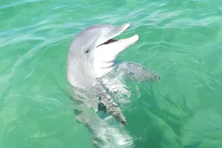 Destin Boat Charter