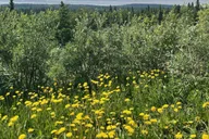 Whittier to Anchorage Scenic Transfer thumbnail 2