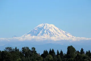 Seattle Hiking Tour in Mount Rainier