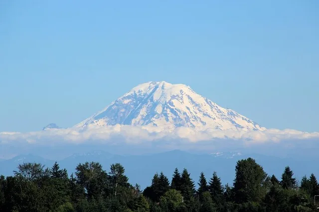 Seattle Hiking Tour in Mount Rainier - Image 1