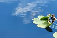 Miami Everglades Airboat Tour thumbnail 6