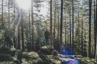 Bainbridge Island Serenity Forest Hike thumbnail 3
