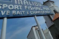 Santa Monica Surfing Day Trip thumbnail 5
