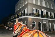 New Orleans French Quarter Carriage Ride thumbnail 2