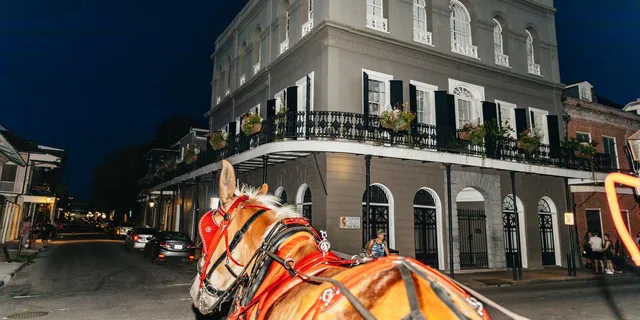 New Orleans French Quarter Carriage Ride - Image 2