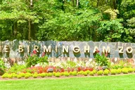 Birmingham Hop On Hop Off Driving App Tour thumbnail 4