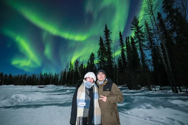 Fairbanks Aurora Borealis Night Tour 4 hr - Image 1
