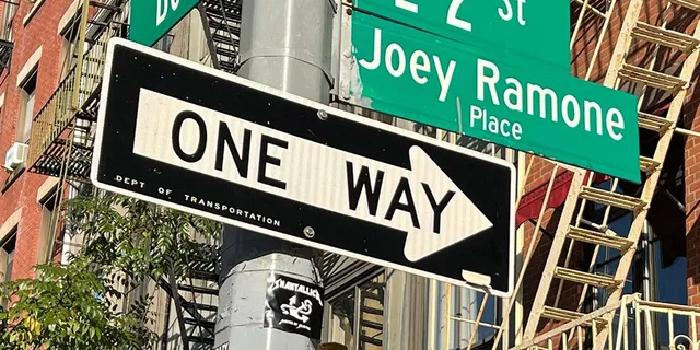 New York Rock and Roll History Walking Tour - Image 2