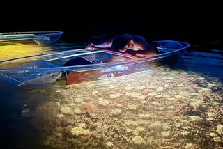 Key West Night Kayak Adventure in Luminous Lagoon