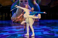Las Vegas Mystère Show by Cirque du Soleil thumbnail 6