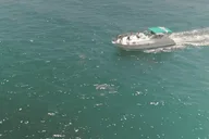 Long Beach Yacht Tour at Sunset 3 hr thumbnail 2