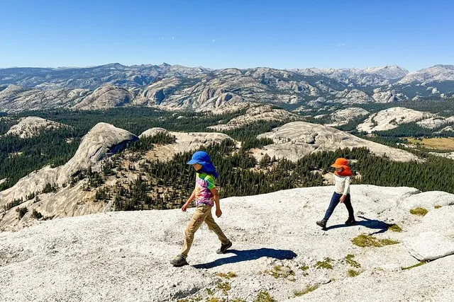 Yosemite Private Tour for Families - Image 2