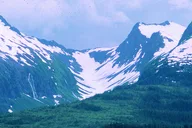 Anchorage Wilderness Wildlife and Glacier Experience thumbnail 4