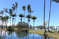 Hilo Wailoa River Kayak Tour to King Kamehameha Statue thumbnail 5