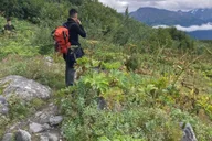 Seward Wilderness Hiking Tour thumbnail 3