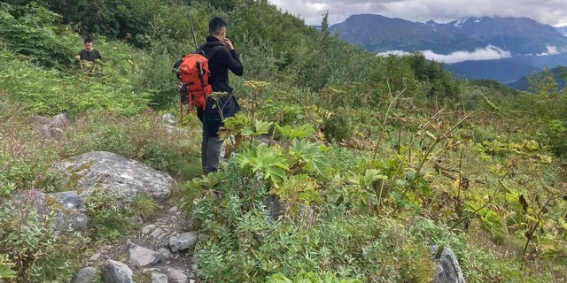 Seward Wilderness Hiking Tour - Image 3