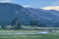 Estes Park Elk Rut Guided Tour 2 hr thumbnail 6