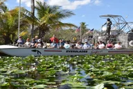 Miami Everglades Airboat Ride thumbnail 6