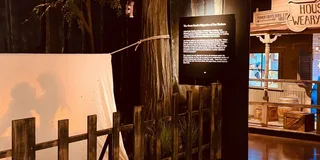 New Orleans Storyville Museum Tour