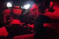 Miami Dunebuggy Adventure thumbnail 2
