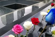 New York City 9/11 Memorial and Financial District Walking Tour thumbnail 6
