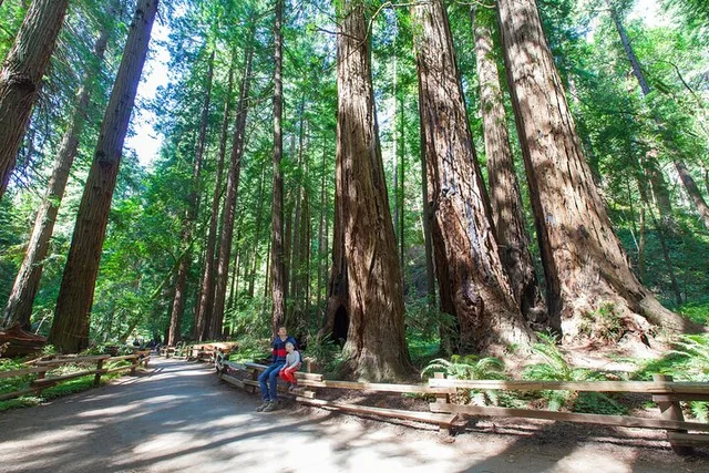 San Francisco Muir Woods Tour - Image 3