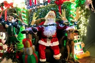 New York Dyker Heights Christmas Lights Tour thumbnail 3