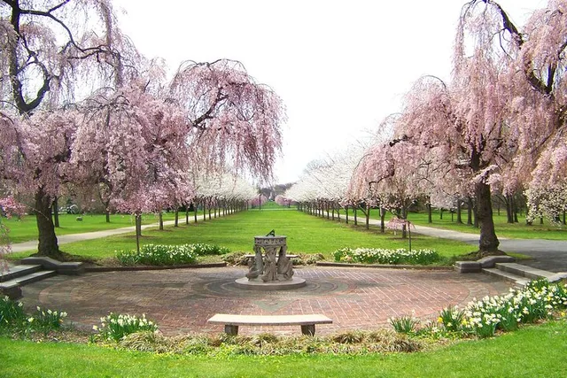 Philadelphia Cherry Blossom Tour from New York - Image 5