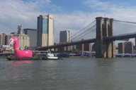 New York City Boat Tour: Statue of Liberty & Skyline thumbnail 2