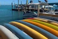 Miami Key Largo & Islamorada Open-Top Bus Tour thumbnail 4