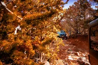 Colorado Scenic Jeep Tour thumbnail 3