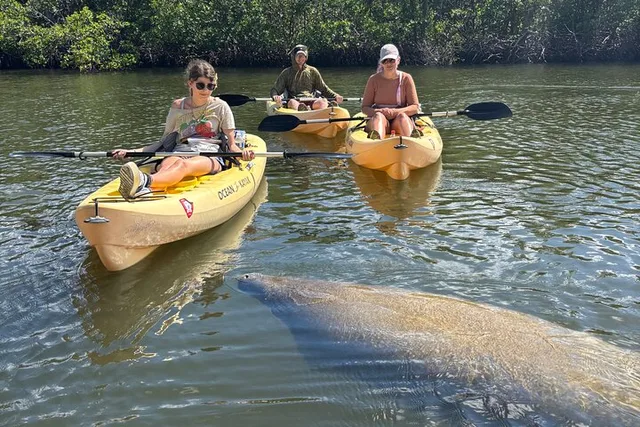Lovers Key Eco Tour - Image 5