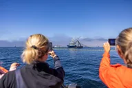 Sitka Marine Wildlife Tour 2 hr thumbnail 2