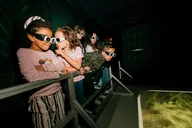 Austin Hologram Zoo Experience thumbnail 2