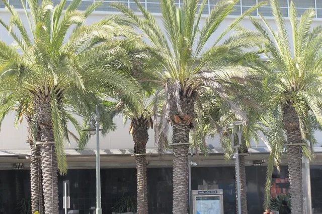 Los Angeles Black History Van Tour - Image 2